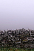 22nd Sep 2024 - pink fog