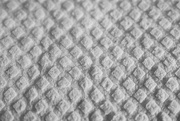 20th Sep 2024 - Textures