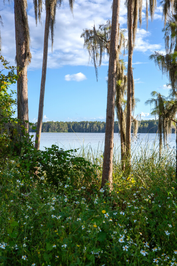 Walking the rim of the lake by frodob