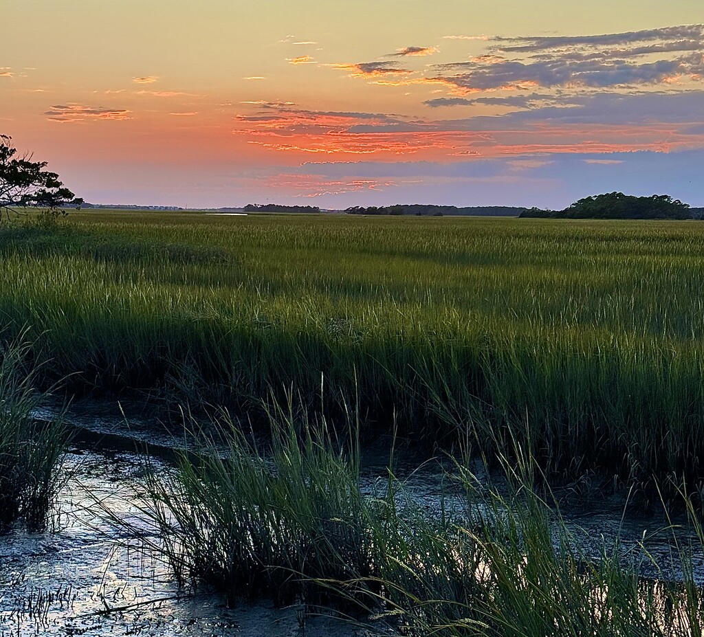 Marsh sunset by congaree