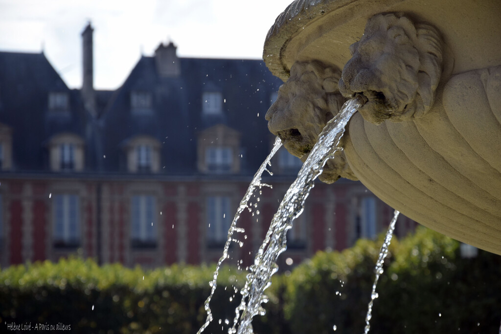 fountain, place des Vosges by parisouailleurs