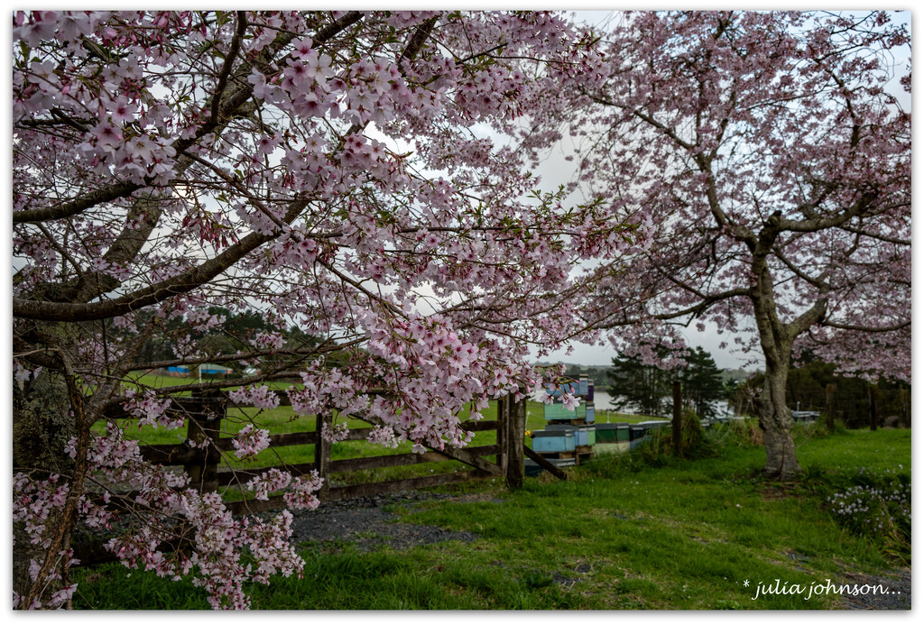 Bee Hives at the ready.. by julzmaioro