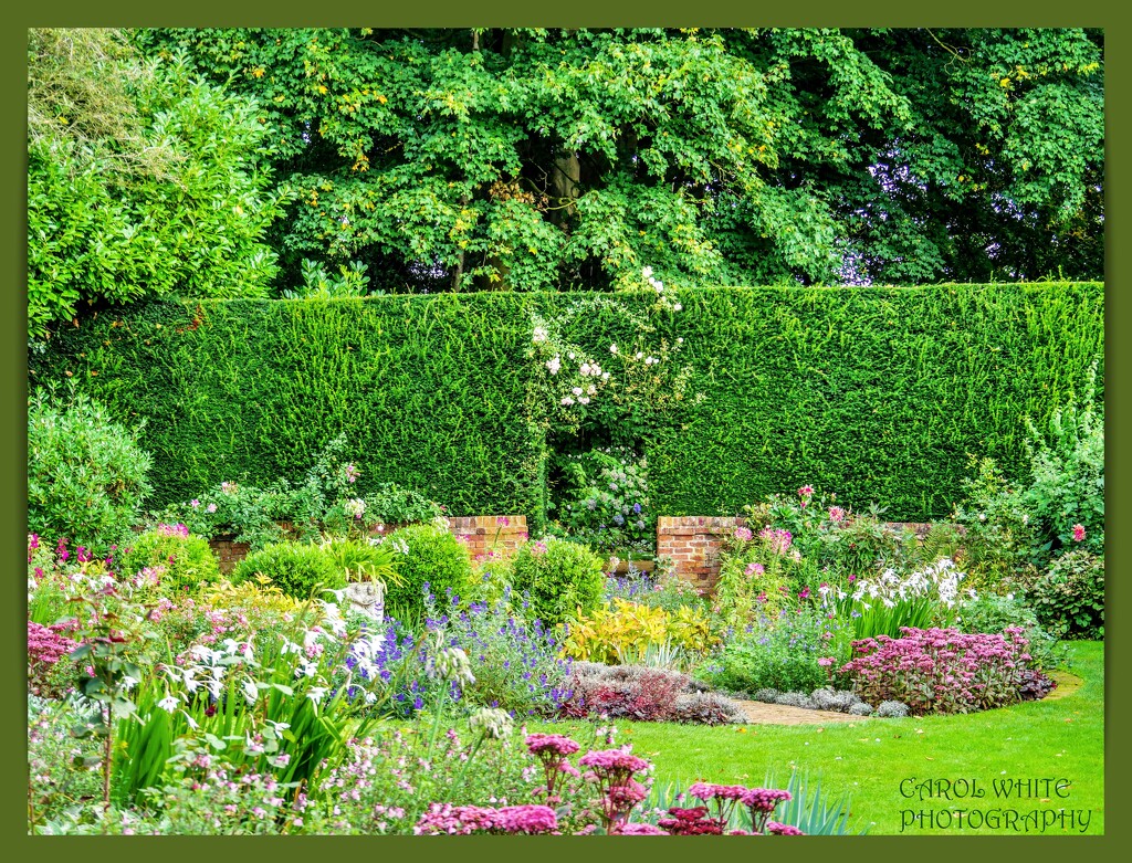 Garden View,Coton Manor Gardens by carolmw