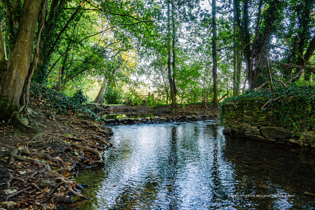 Our local stream by nigelrogers