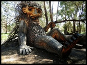 23rd Sep 2024 - Forest Giant