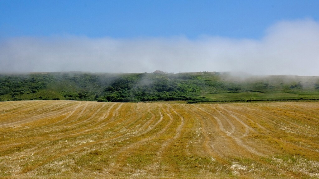 Misty morning by 4rky