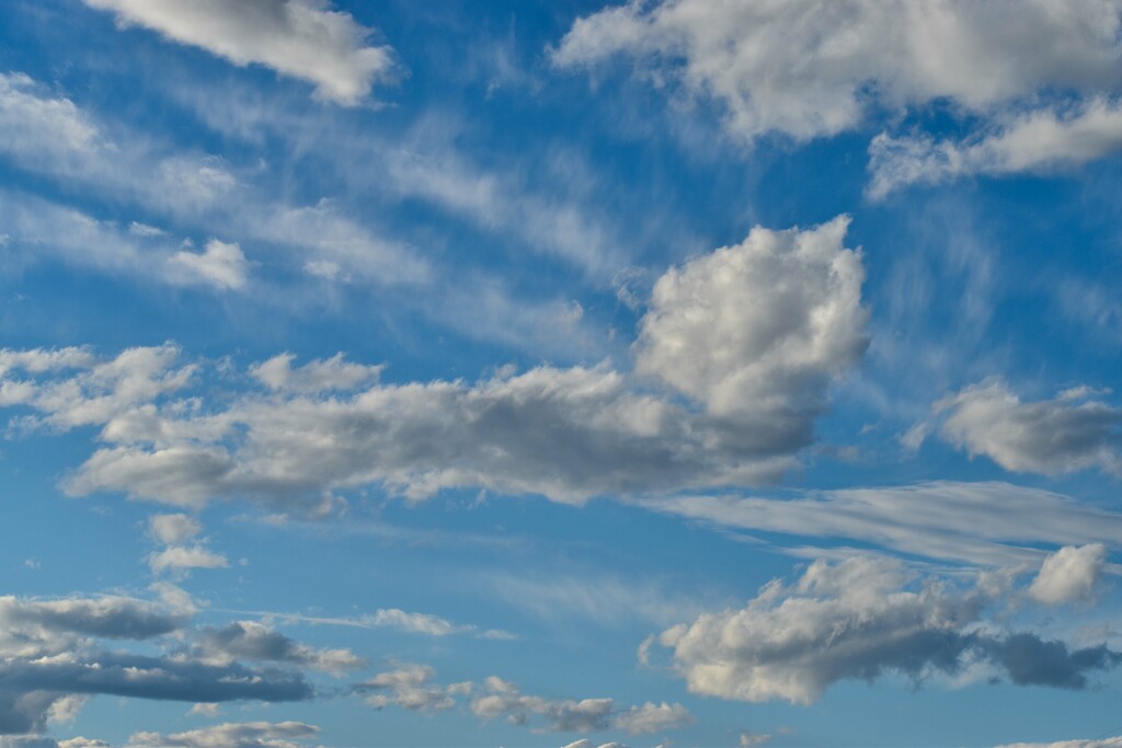 Wild Blue Yonder... by bjywamer