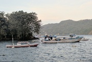 13th Sep 2024 - Off the coast of Lembeh Dive Resort