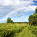 Captured a rainbow while hiking