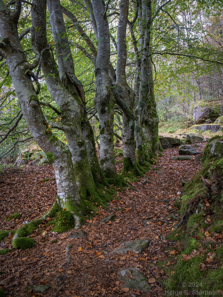 Guardians of the path by helstor365