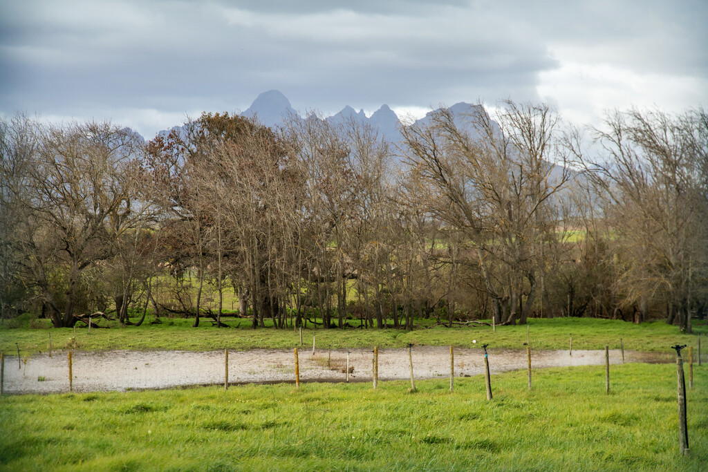 Puddles everywhere by ludwigsdiana