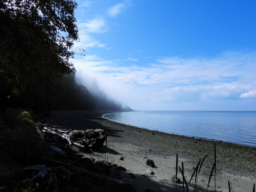 Foggy Morning by seattlite