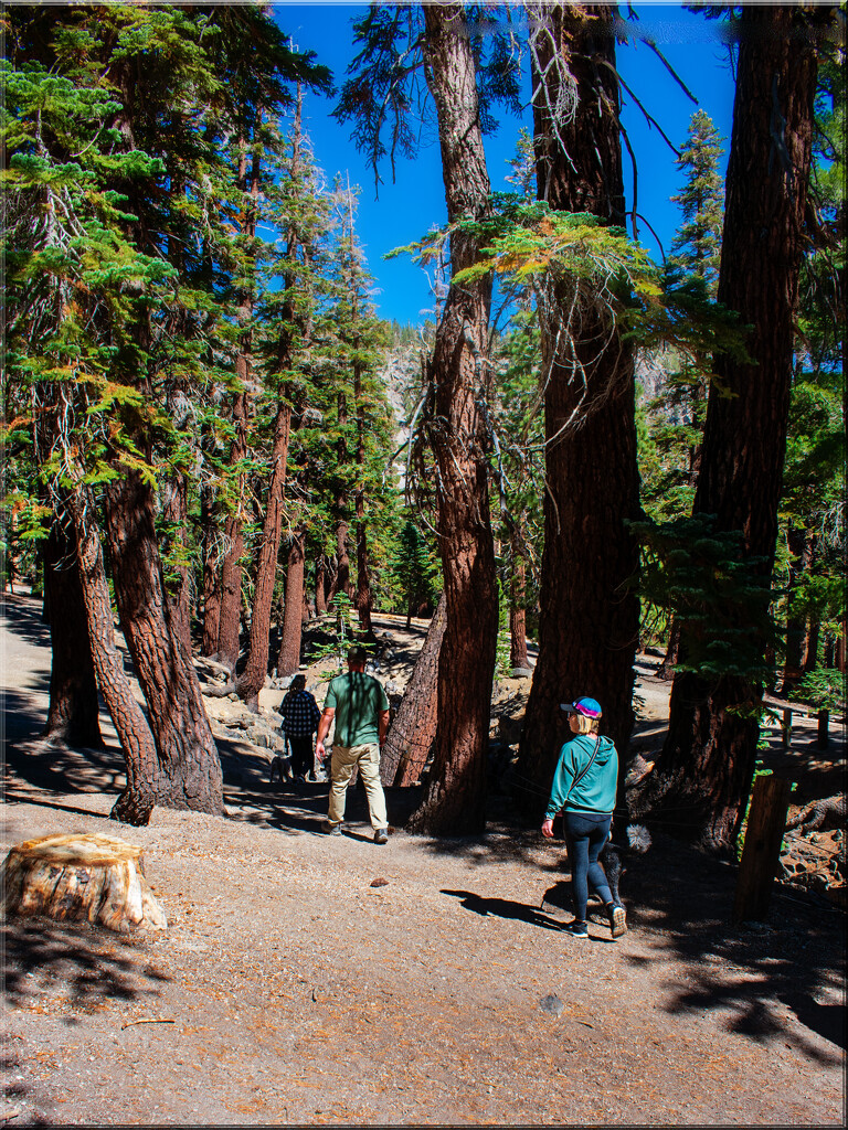 Hiking to Inyo Crater by 365projectorgchristine