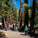 Hiking to Inyo Crater