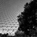 Biosphere #1