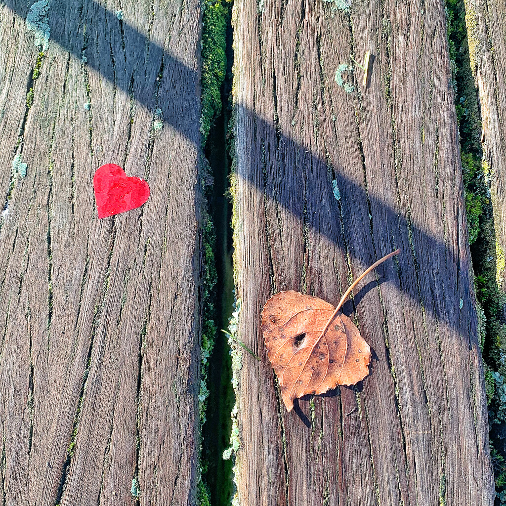 Red heart and heart leaf.  by cocobella