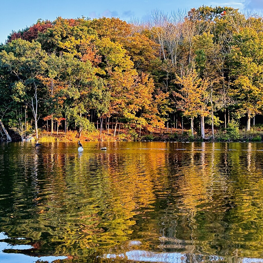 Bay Reflection by rickaubin