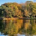 Bay Reflection