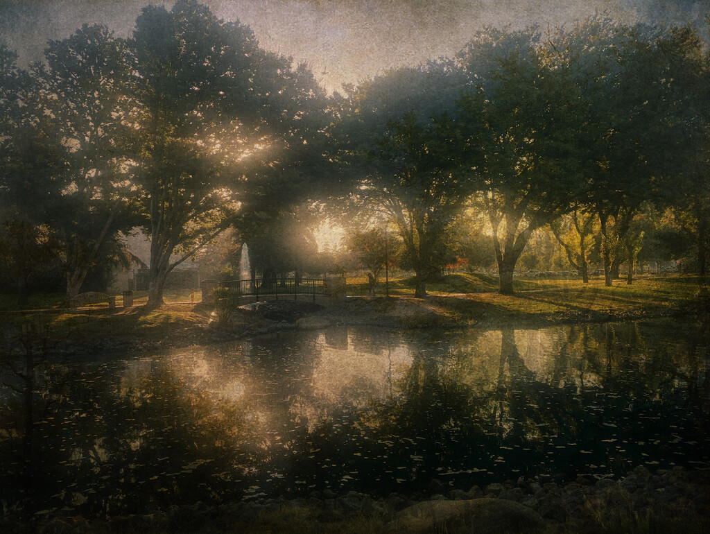 Morning In The Park by joysfocus