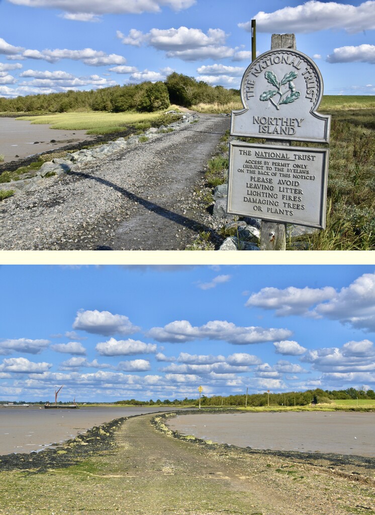 Northey Island Walk by casablanca