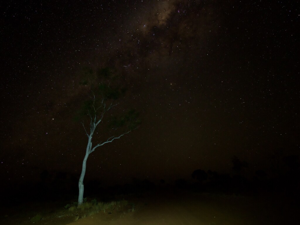 Outback Night Sky P9225138 by merrelyn