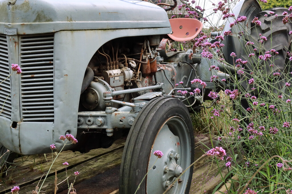 Ferguson Grey Tractor…. by neil_ge