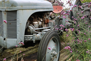 25th Sep 2024 - Ferguson Grey Tractor….