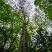 269/366 - Looking up