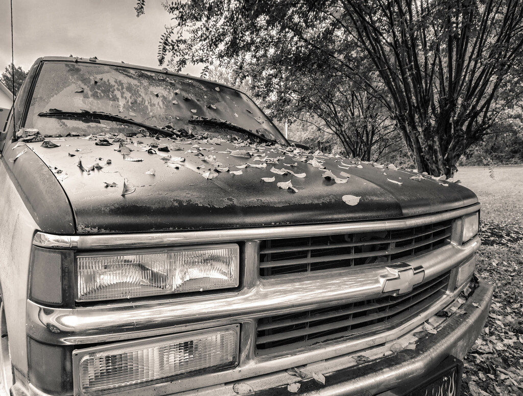 Old Chevy Truck by randystreat