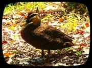 26th Sep 2024 - Soaking Up The Sunshine~