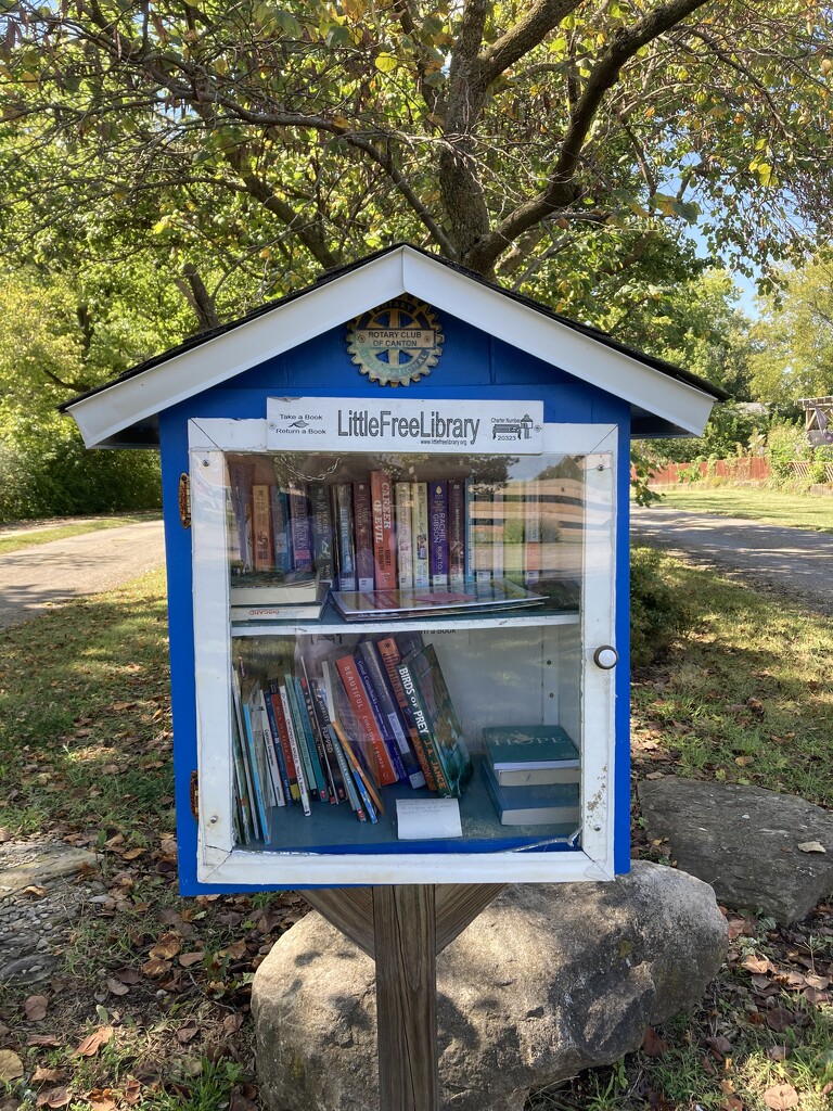 Our Little Library  by illinilass