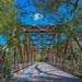 Suwannee Springs Bridge