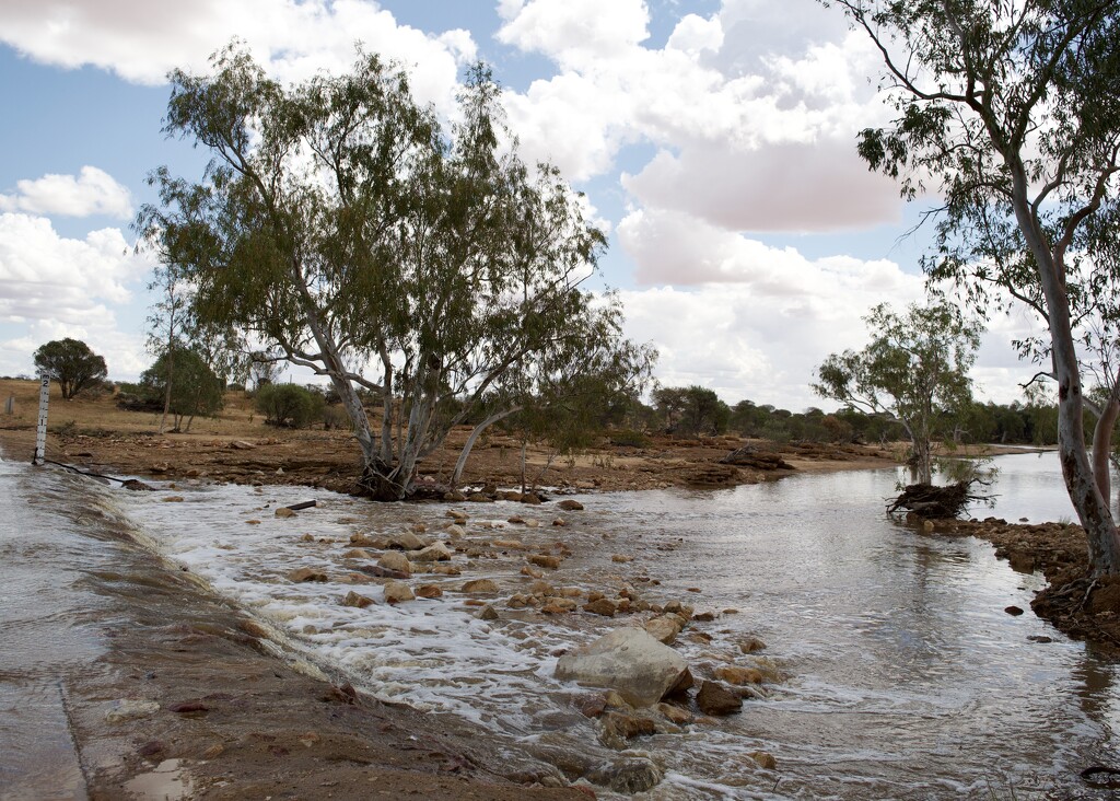 Congo Creek DSC_2152 by merrelyn