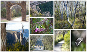 6th Sep 2024 - Destination 6 Fairfax Walk Govetts Leap