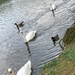 Straw's Bridge Nature Reserve