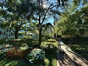 26th Sep 2024 - Scene of the campus of the College of Charleston, considered one of the most beautiful in the country. 