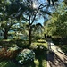 Scene of the campus of the College of Charleston, considered one of the most beautiful in the country. 