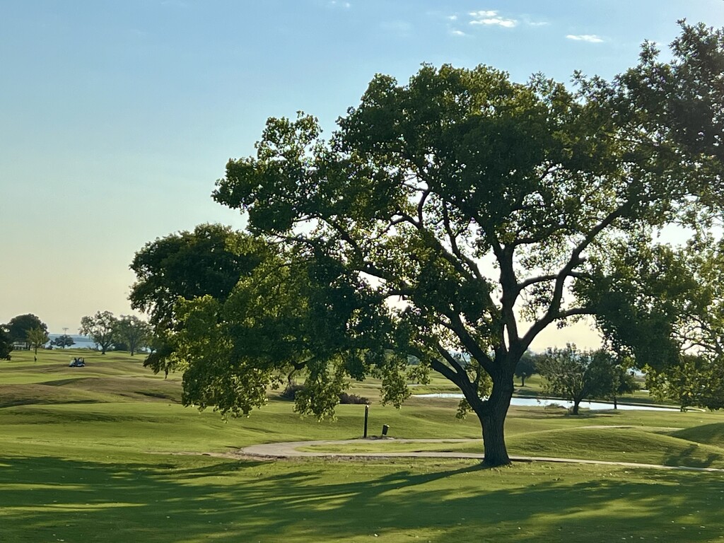 Long early morning shadows  by louannwarren