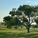 Long early morning shadows 