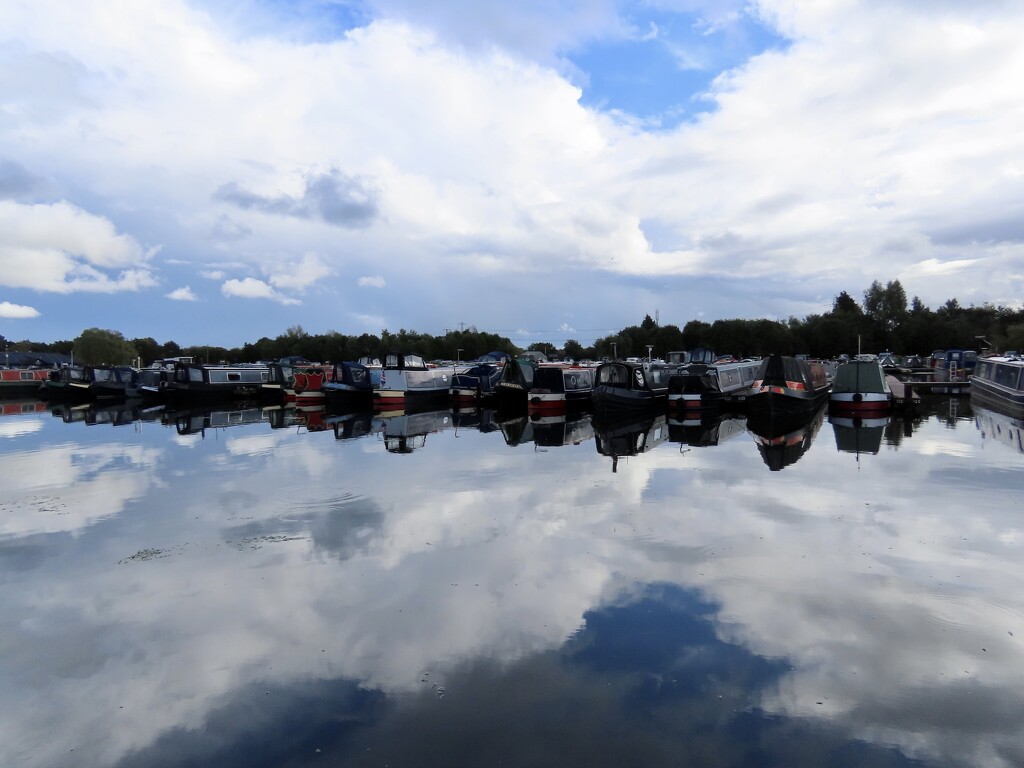 Barton Marina by orchid99