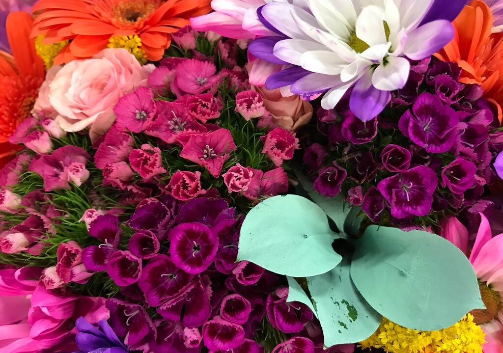 Flowers at the grocery store by mittens