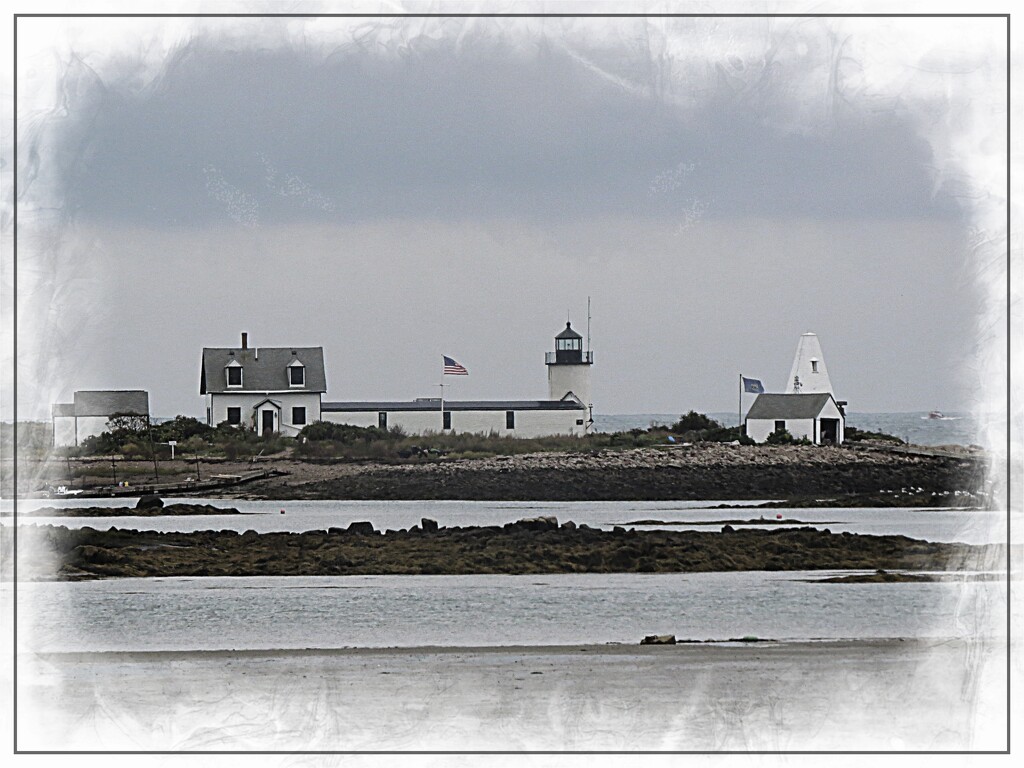 The Light at Cape Porpoise by olivetreeann