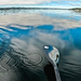 A Beautiful Day for a Paddle