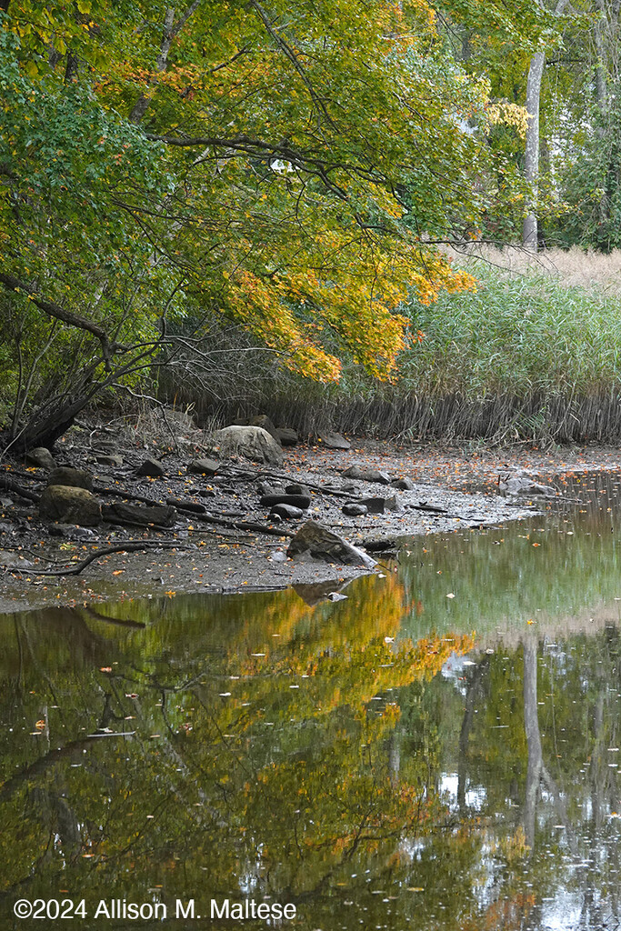 Fall Reflections by falcon11