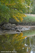 26th Sep 2024 - Fall Reflections