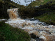 26th Sep 2024 - been raining .... a lot