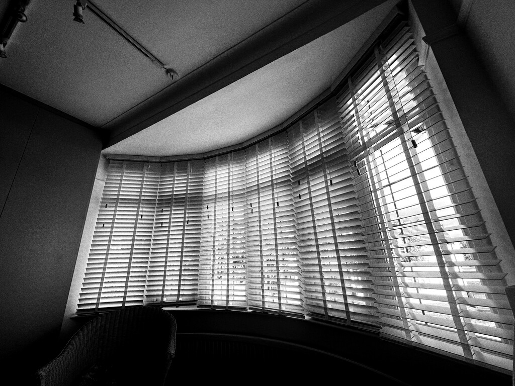 Bay Window Blinds  by rensala