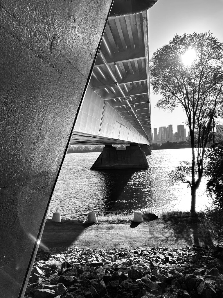 Under the bridge by fperrault