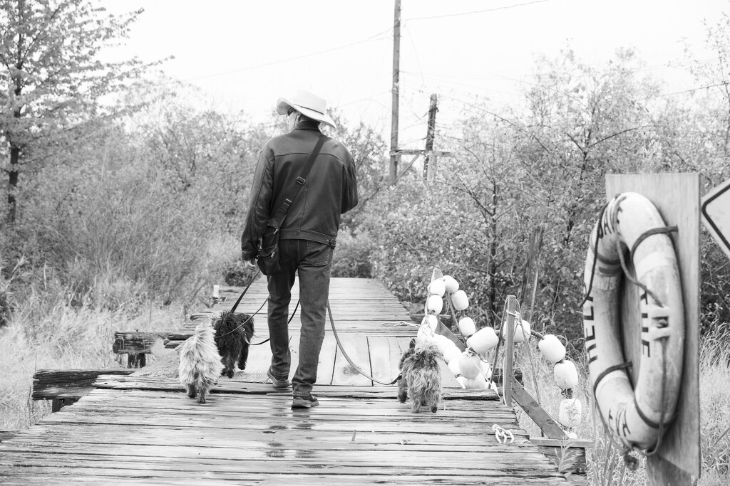 Finn Slough Dog Walker by cdcook48