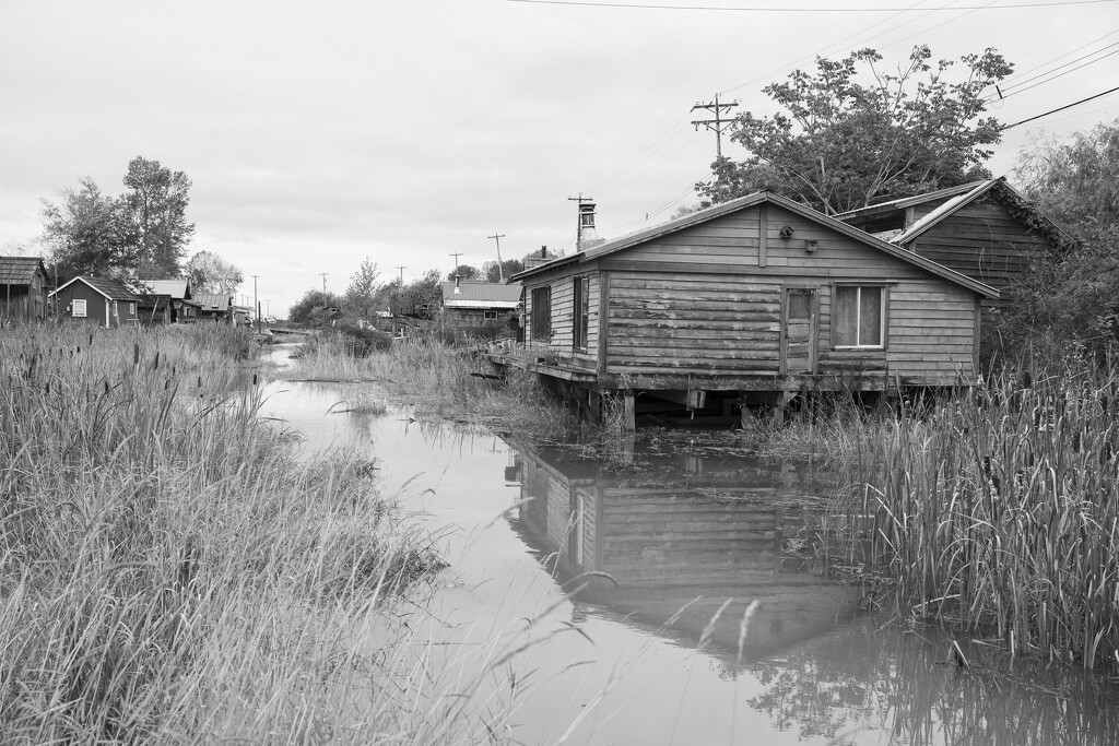 Finn Slough, Eastern end.  by cdcook48